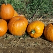 2007-10-13 (035).jpg